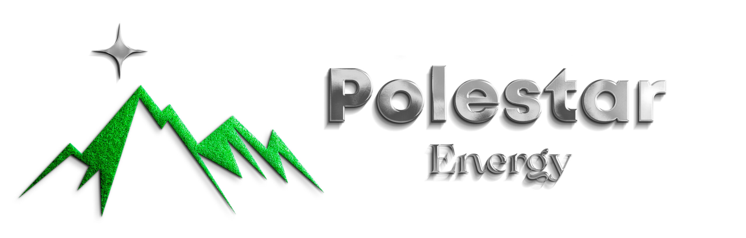 POLESTAR Logo Horizontal
